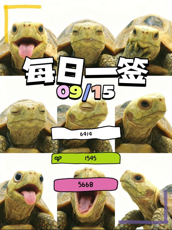 【每日一签】2025/09/15