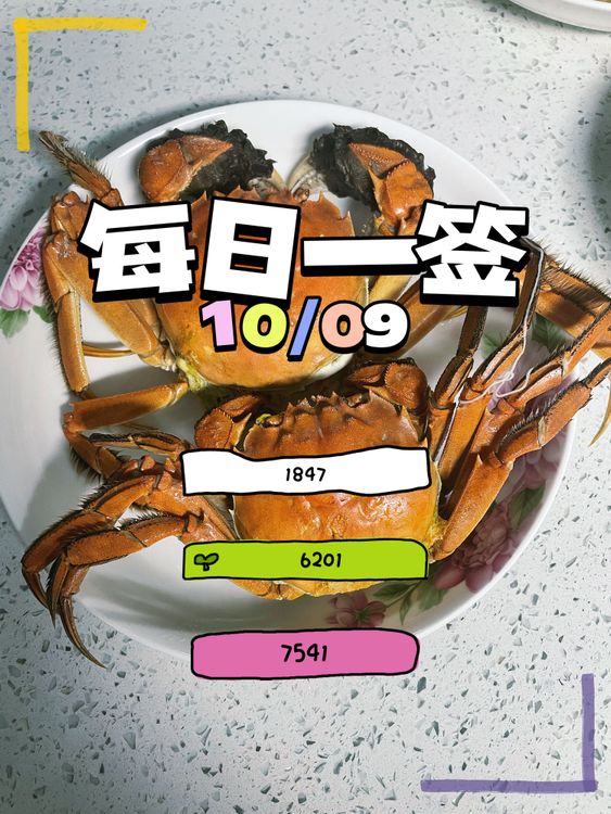 【每日一签】2025/10/09